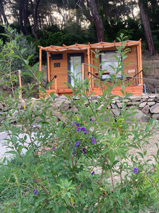 Tiny Mini House Hotel ดาลามาน ภายนอก รูปภาพ